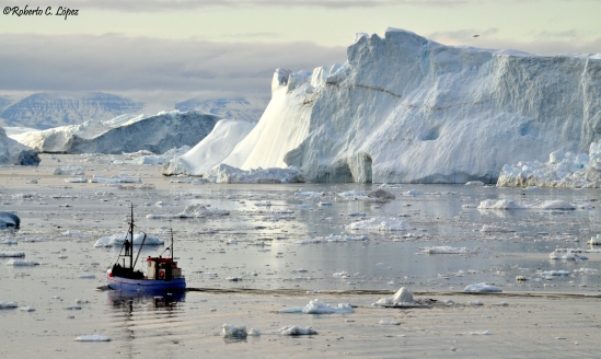 Barco pesquero entre los icebergs gigantes de la bahía de Disko