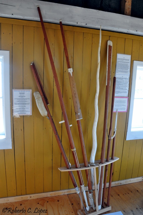 Utensilios de caza de los inuit y un cuerno de narval en el museo de Qeqertarsuaq